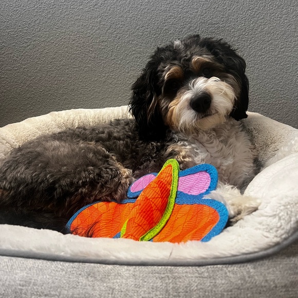 SURPRISE HAPPY MAIL - Picture 4 of 16